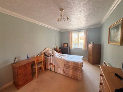 Picture 7